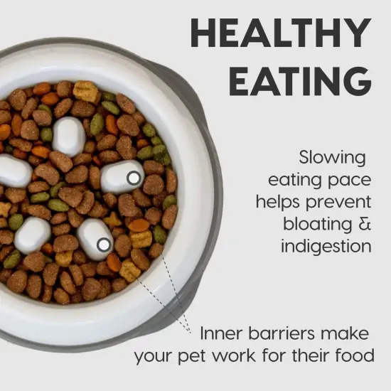 IRIS USA 2Cup/4Cup Slow Feeder Dog Bowl for Pets Tan {2}