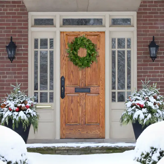 Northlight Real Touch&trade;️ Pre-Lit Mixed Winter Berry Pine Artificial Christmas Wreath - 24" - Clear Lights Green {3}