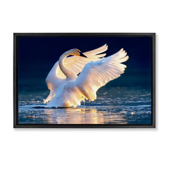 Stupell Industries Sunset Symphony Swan Framed Floater Canvas Wall Art Design by Shane Lamb {1}