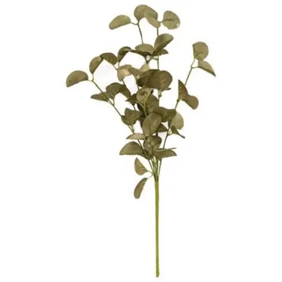 21&rdquo; Long Sage Foamy Silver Dollar Spray with Green Paper-Wrapped Stem and Branches {1}