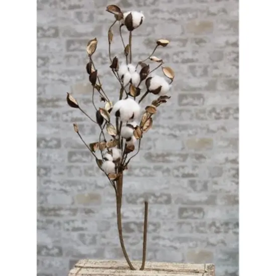 Cotton Branch With Shells, 30" {1}
