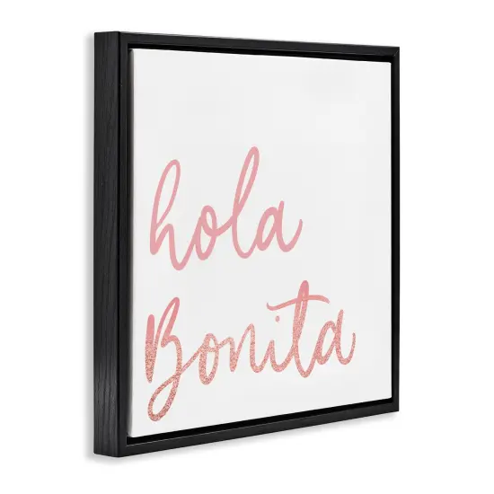 Stupell Industries Hola Bonita Rosa Framed Floater Canvas Wall Art Black Floater Frame {3}