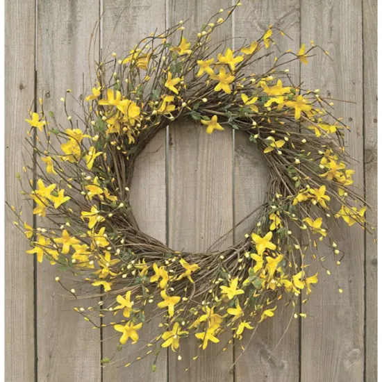 Star Forsythia Wreath 20" {1}