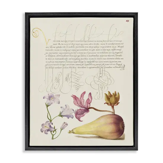 Stupell Industries Classical Cottage Plants Framed Floater Canvas Wall Art Design by Melissa Wang {1}