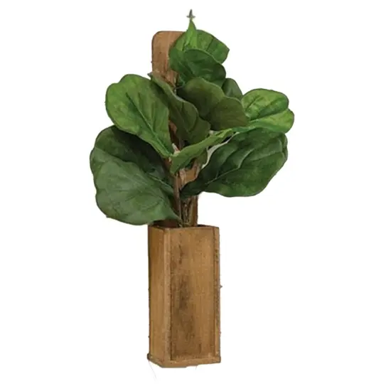 Fiddle Fig Spray {1}