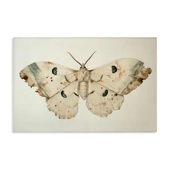 Stupell Industries Vintage Beige Moth Canvas Wall Art Design by Petal Prints Design {1}