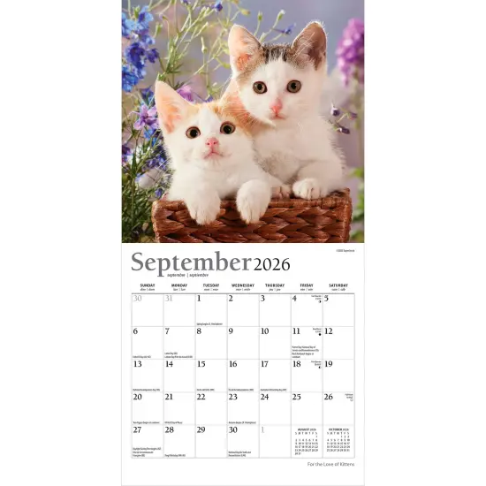 For the Love of Kittens | 2026 7 x 14 Inch (Hanging) Monthly Mini Wall Calendar | Foil Stamped Cover {4}