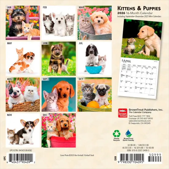 Kittens & Puppies | 2026 7 x 14 Inch (Hanging) Monthly Mini Wall Calendar {2}