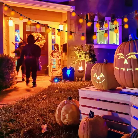 25 Pack G40 Orange Halloween String Lights Replacement Light Bulb {2}