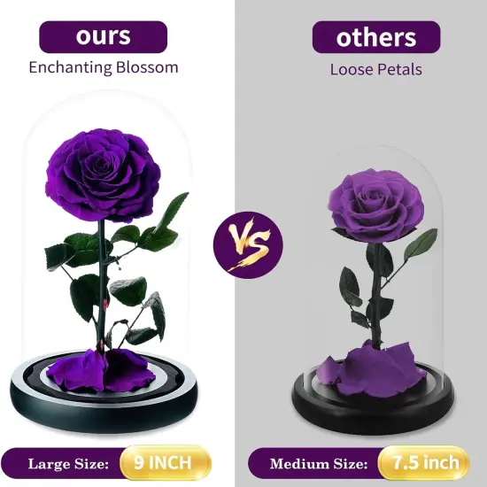 Preserved Flowers in Glass Dome {3}