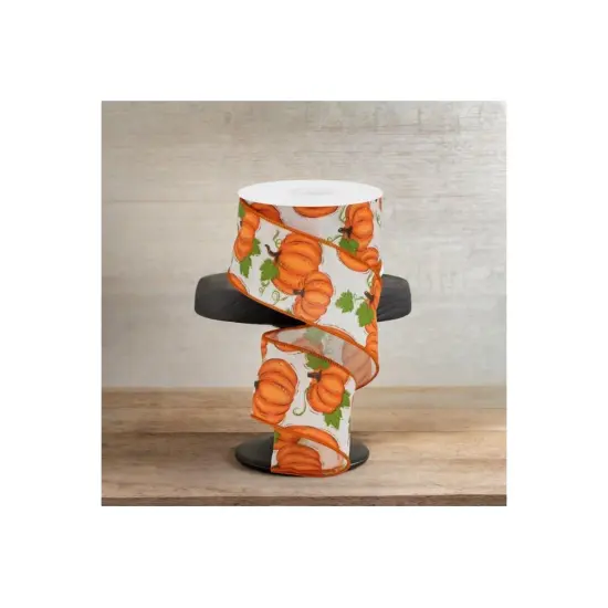 2.5" Pumpkin Patch Ribbon: Off White (10 Yards) {2}