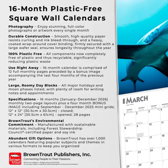 Sharks | 2026 12 x 24 Inch (Hanging) Monthly Square Wall Calendar | Plastic-Free {6}