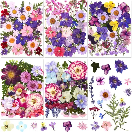 167 Pcs Real Dried Pressed Flowers - Purple {1}