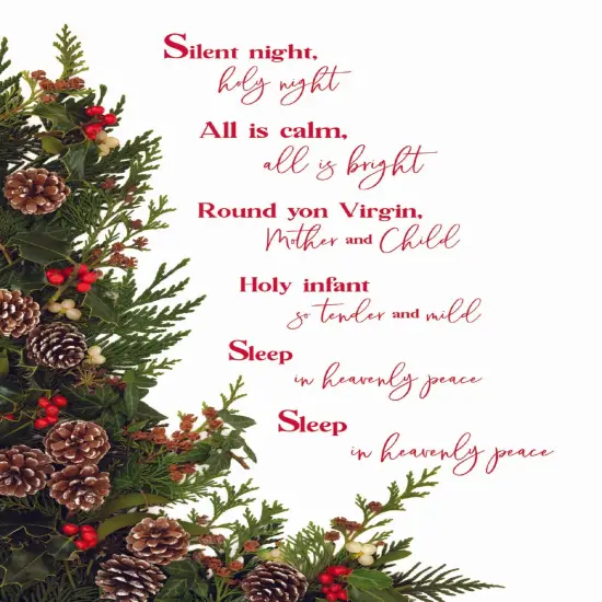 Large Boxed Christmas Card Assortment- Peace and Joy - 24 cards and envelopes {6}