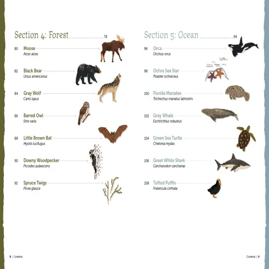 The Field Guide to Embroidery: 52 North American Animal and Plant Designs for Nature Lovers {4}