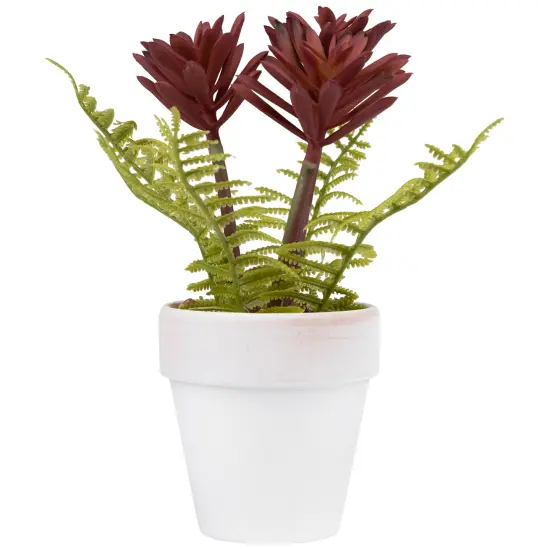 Northlight Succulent Fern in Ceramic Pot - 8" Purple {7}