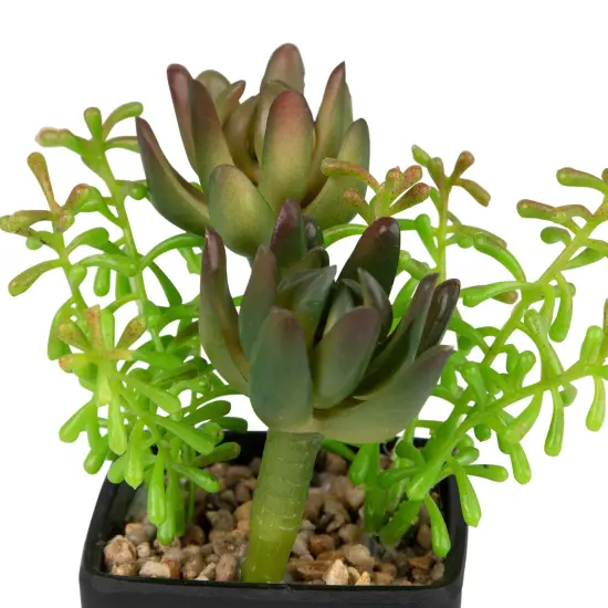 Northlight Potted Artificial Succulent Arrangement - 6" Green {7}