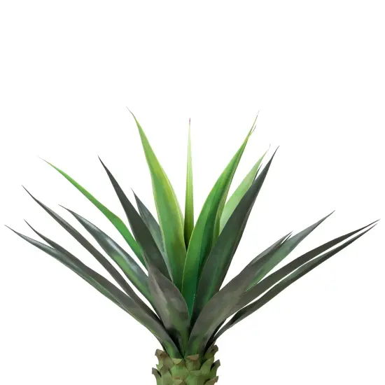 Northlight Artificial Sisal Potted Plant - 38" Green {5}