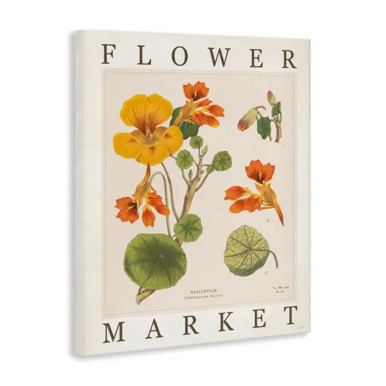 Stupell Industries Vintage Flower Market Blossoms Canvas By Sue Schlabach {3}