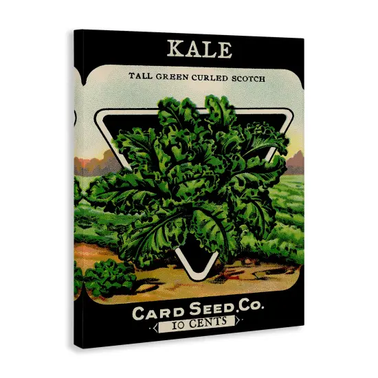 Stupell Industries Vintage Gardening Kale Canvas By Lil' Rue {3}