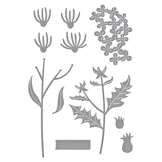 Spellbinders Etched Dies From The Field Notes -Wildflowers {3}