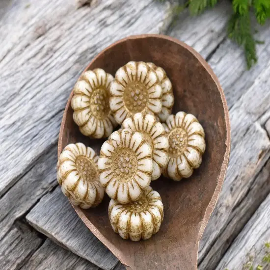 *12* 13mm Dark Bronze Washed Opaque Ivory Sunflower Coin Beads {3}