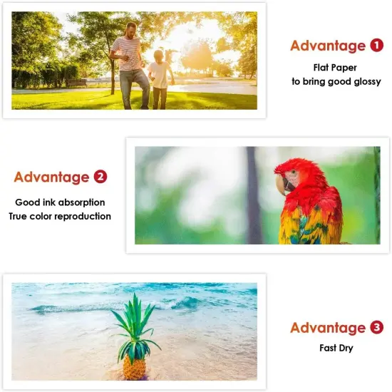 Koala Premium Glossy 61lb/230gsm Thick Inkjet Photo Paper in Multiple Sizes {6}