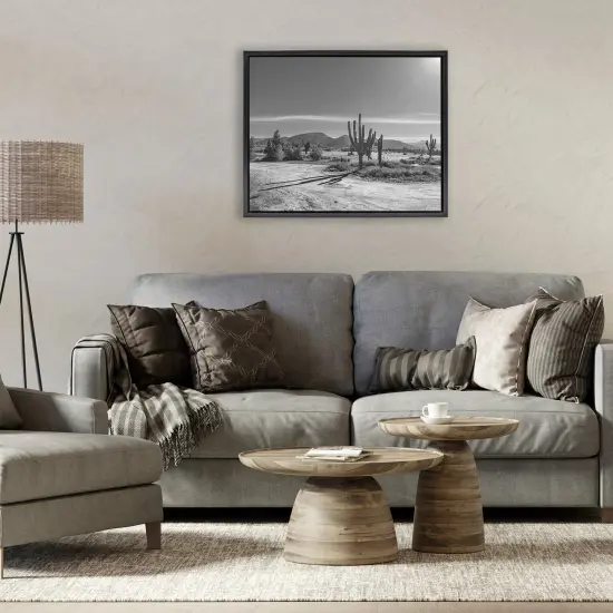 Stupell Industries Sunlit Cactus Valley Floating Frame, design by Norm Stelfox {2}