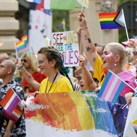 12 Pack Pride Flags Progress Rainbow Pride Flag Small Flag Pride Month Accessories Gay LGBTQ Stick Flag USA American Rainbow Flag Hand Held Flags Decorations for Parades Rainbow Festival {3}