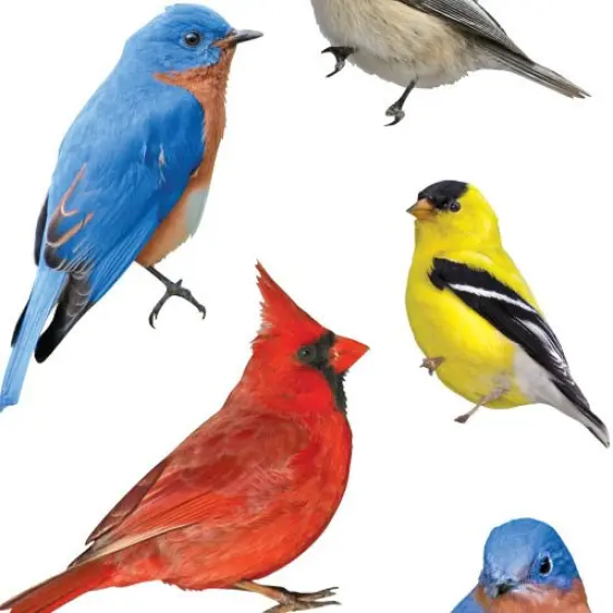 Decorative Stickers - Animals Bargain Bundle {3}