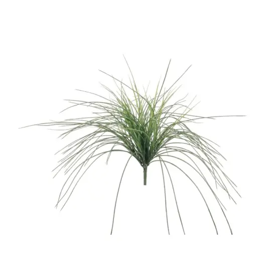 23" Mondao Grass Bush - 4 PACK {1}
