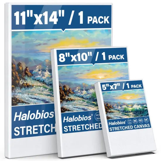 Stretched Canvases for Painting with 11x14 Inch, 5x7 Inch, 8x10, Painting Canvas for Acrylics,Oils & Other Painting Media, 5/8 Inch Profile 100% Cotton Artist Framed Canvas(3 Packs) {1}