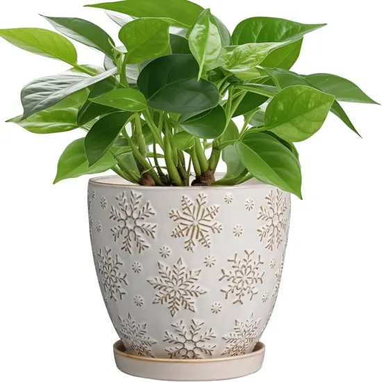 6.9 Inch Ceramic Planter with Drainage Hole and Saucer (Snowflakes White) {1}