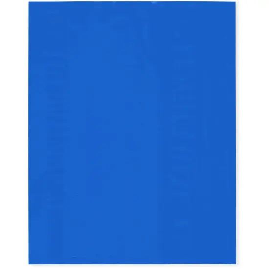 Plymor 8" x 10", Blue 2 Mil Flat Open Plastic Poly Bags {1}