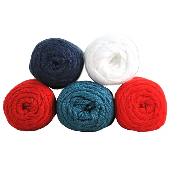 Caron Simply Soft Yarn Pack Multi {1}