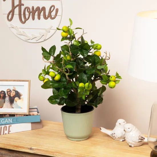 Northlight Bonsai Style Artificial Mini Apple Tree in Pot - 23" Green {1}