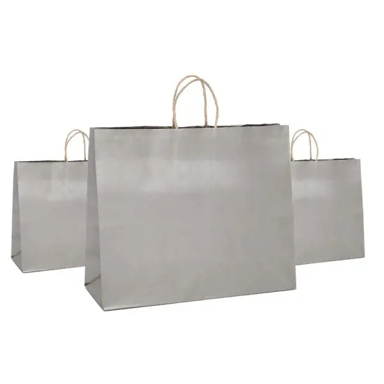 Metallic Shopping Bag Versatile 8" x 4 3/4" x 10 1/4" {2}