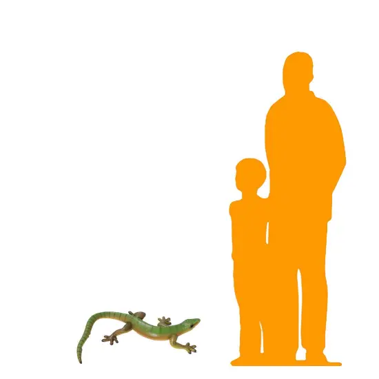 Large Gecko Lizard Life Size Statue {2}