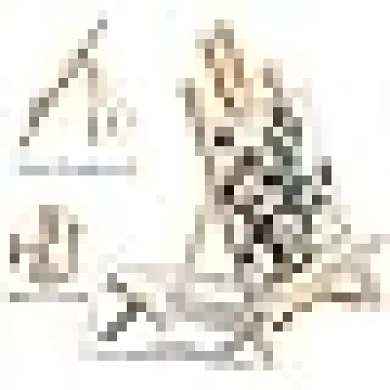 Brushes with Nylon Brush Head and {3}