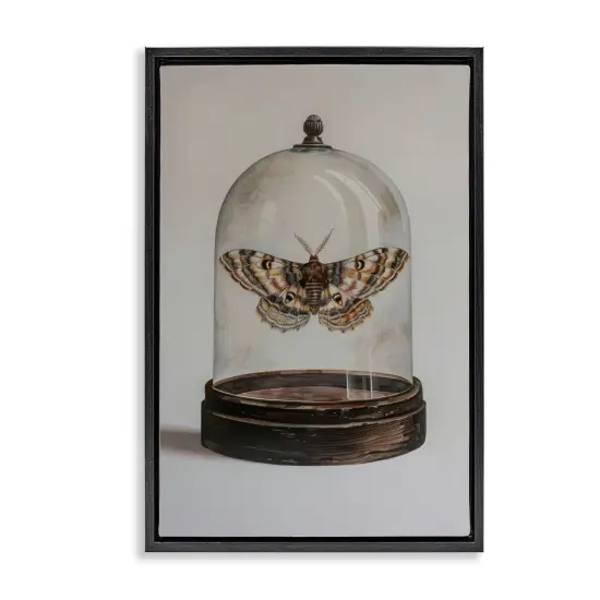 Stupell Industries Moth in Glass Cloche Framed Floater Canvas Wall Art Design by Petal Prints Design {1}