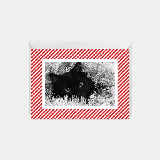 Candy Stripe Holiday Photo Card {3}
