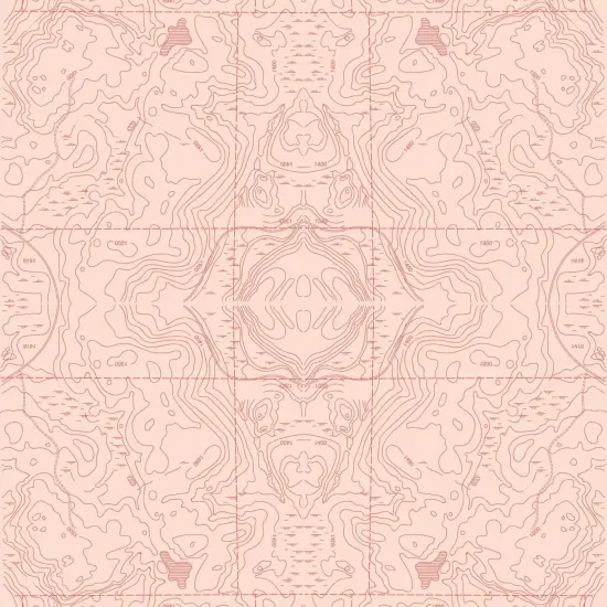 Topographic Map Gift Wrap IX {2}