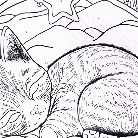 Angels Craft Paint by Number Canvas Set - Dreamy Whiskers | Includes: 1 Pre-printed Canvas, 6 Acrylic Paint pots, 1 Artist Brush {3}