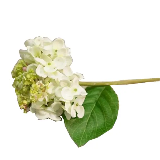 Classic Hydrangea Pick Cream {1}