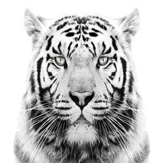 White Tiger Edible Cake Topper {1}