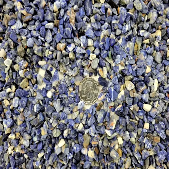 Tumbled Sodalite Crystal Chips Bulk {5}