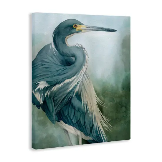 Stupell Industries Bayou King Bird Canvas, design by Grace Popp {3}