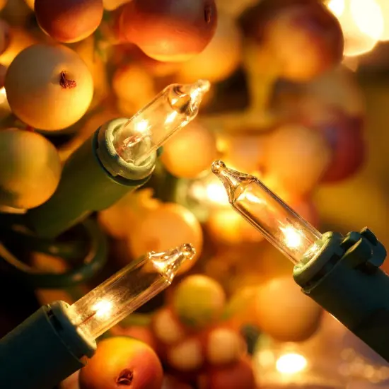 Pack of 2 Sets - 200 Clear Christmas String Lights -(33 Feet) {4}