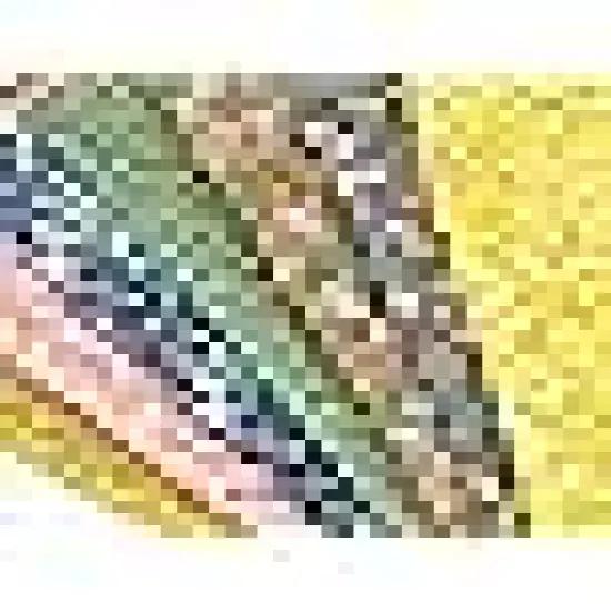 Squares Sheets for Patchwork Sewing Quilting and Crafting {4}