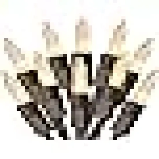 Clear Christmas Lights {1}